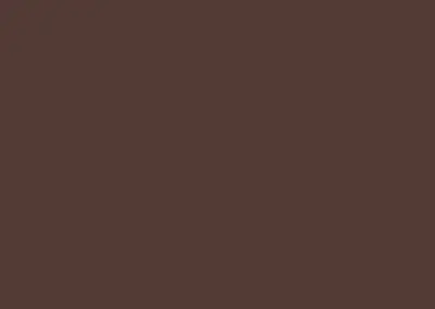 color swatch 002 royal brown
