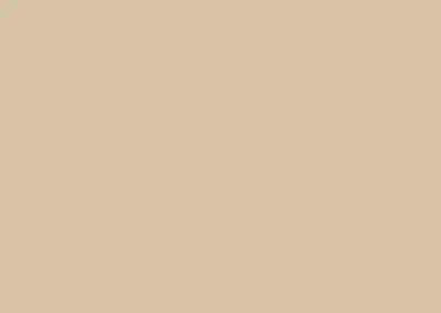 color swatch 003 - antique ivory