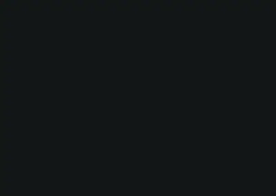 color swatch 004 - black