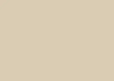 color swatch 005 raffia beige