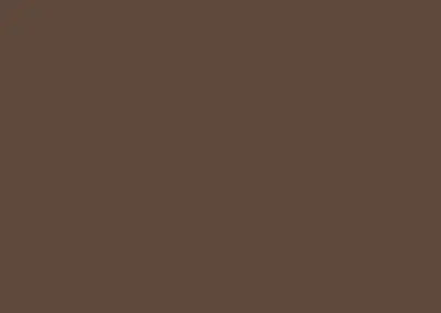 color swatch 006 beaver brown