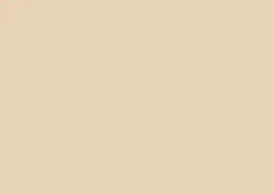 color swatch 007 classic cream