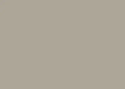 color swatch 008 clay