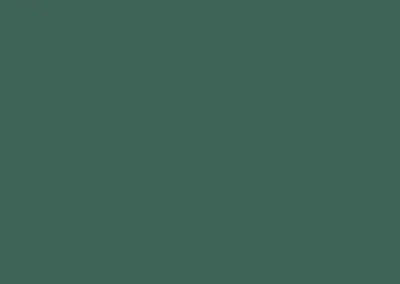 color swatch 010 sherwood green