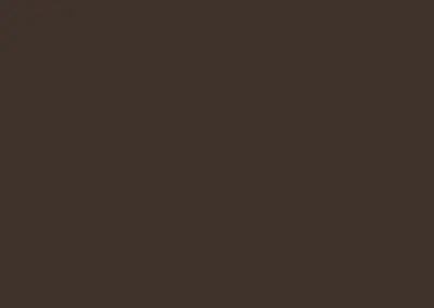 color swatch 011 musket brown