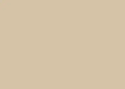 color swatch 013 wicker