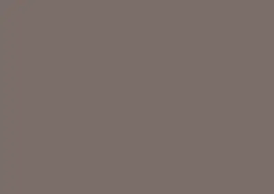 color swatch 018 light bronze