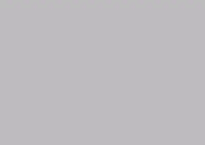 color swatch 021 colonial gray