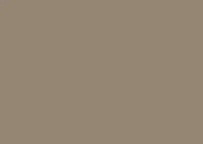 color swatch 131 wood beige