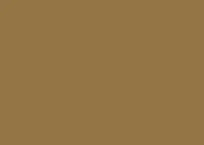 color swatch 022 buckskin brown