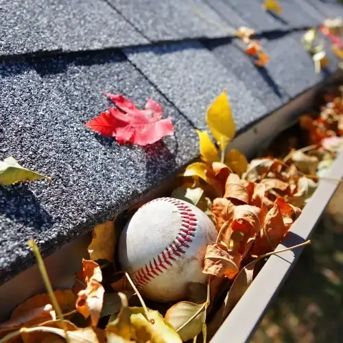 1000x1000 house gutter full of multi colored leaves and a baseball