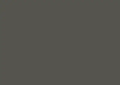 color swatch 019 tuxedo gray