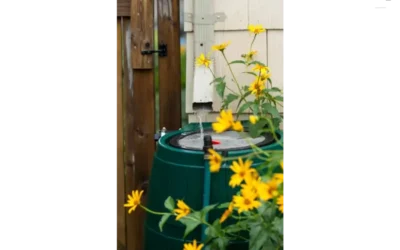 Water Collection Systems: What to Know Before Adding a Rain Barrel