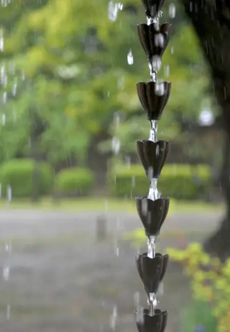 dark colored tulip shaped rain chains with rain flowing through